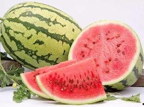 今日开启吃瓜模式是什么,网络热词背后的趣味与思考